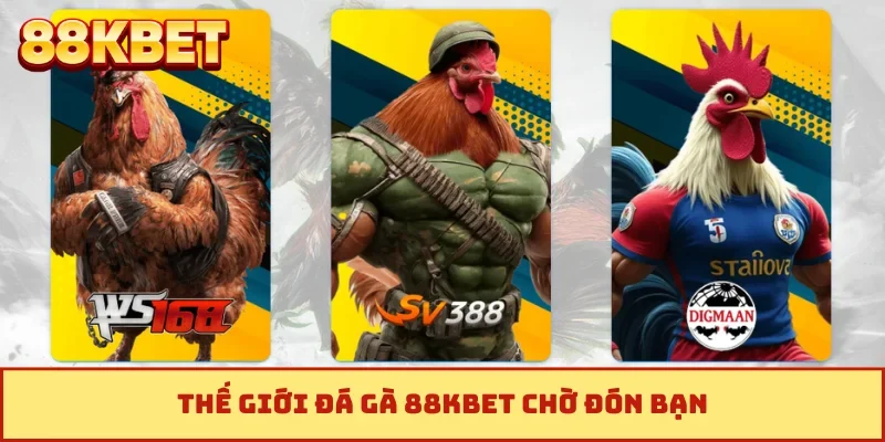 Thế giới đá gà 88KBET chờ đón bạn